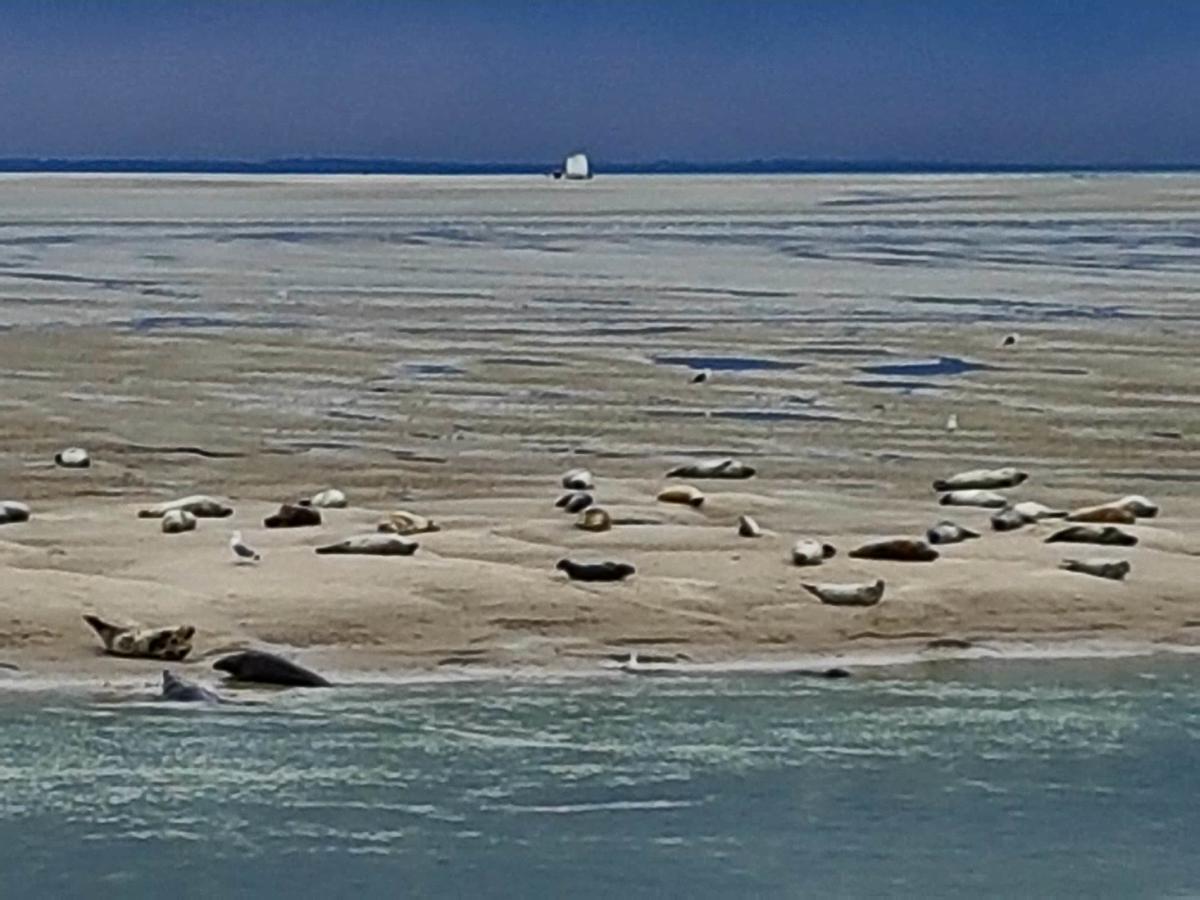 Les Coquillages, 2 Salles De Bains, Tout A Pied Berck Exterior foto