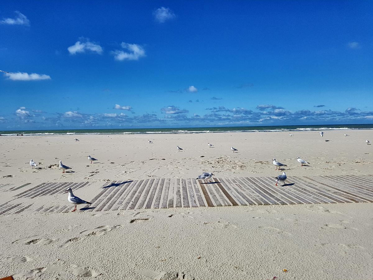 Les Coquillages, 2 Salles De Bains, Tout A Pied Berck Exterior foto